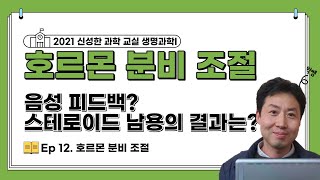 호르몬 분비 조절 호르몬 분비 조절