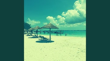 Alluring Moods for Vacations