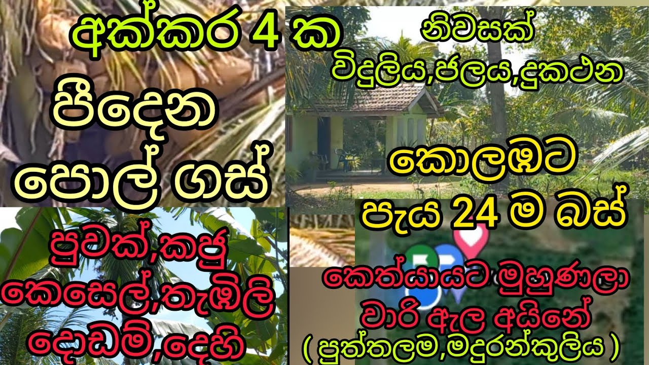 tourism lands economical coconut land land for sale* lands