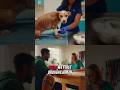 From Heartbreak to Home: A Shelter Dog's Transformation 🐾#AnimalRescue #AdoptDontShop #shorts