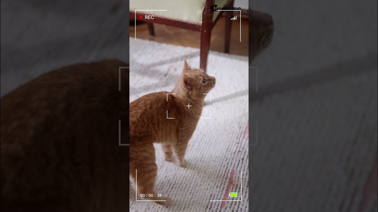 Vous cherchez une caméra de surveillance pour votre maison ?