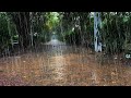 Heavy Rain and Thunderstorm Sounds on Deserted Forest Road - Thunder Rain Sounds for Sleeping, Study