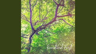 Download Lagu 오래된 사랑 (Old Love)