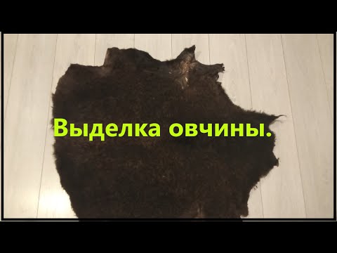 Выделка овчины в домашних условиях для новичка