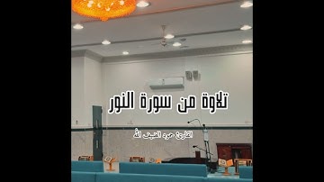 تلاوة من سورة النور  القارئ حمود الضيف الله 