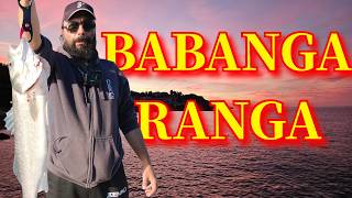 Huge Sea Bass Spin Fishing Greece Get In!