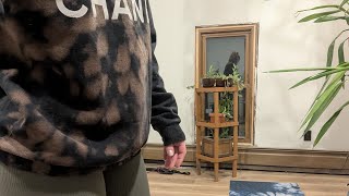 Frog Pose Challenge Complete Tour Of My Yogaworkout Space.