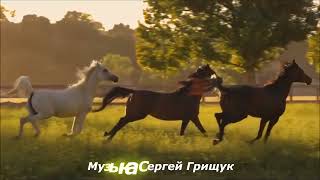 Музыка Для Души ,,Жизнь Кажется Сном,, Музыка Сергей Грищук #Музыка #Красиваямузыка