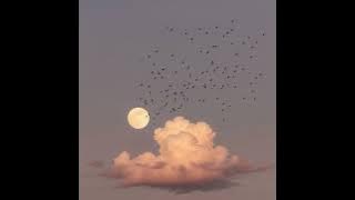 Download lagu Forever Young (Slowed & Reverb)