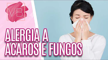 O que é bom para alergia de mofo?