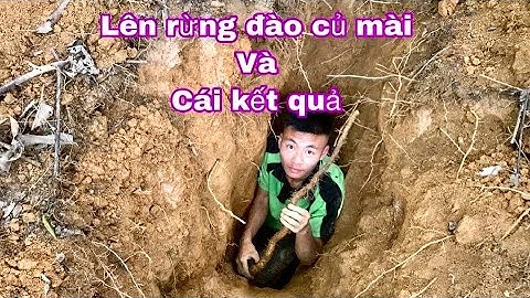 Thử thách 24h Trên rừng tìm kiếm Củ mài