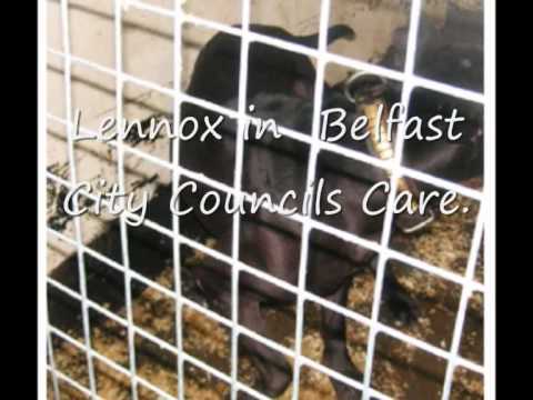 The fight for Lennox