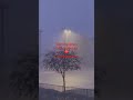 North Texas Thunderstorms, gotta love em!