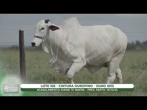 LOTE 105   OURO 3313