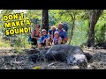 Your guide to komodo island with kids  flores  travel flores with kids  labuan bajo liveaboard
