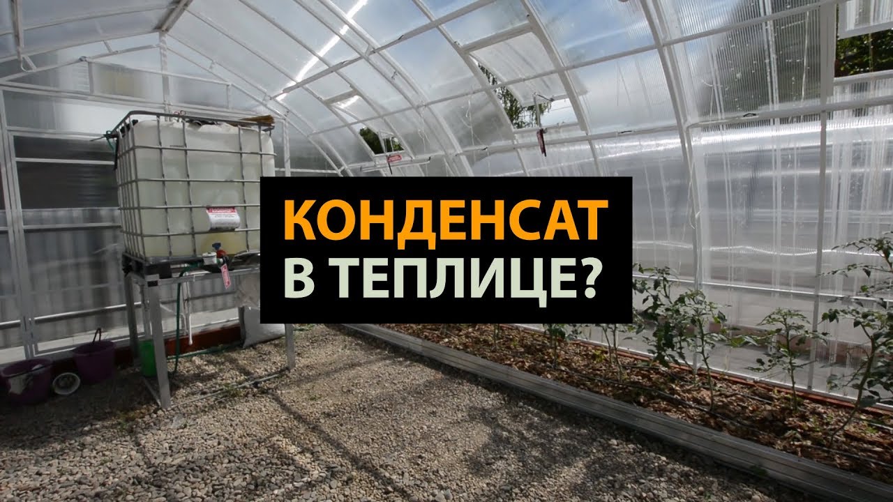 ⁣Конденсат в теплице: Как с ним бороться. ЗАВОД ГОТОВЫХ ТЕПЛИЦ