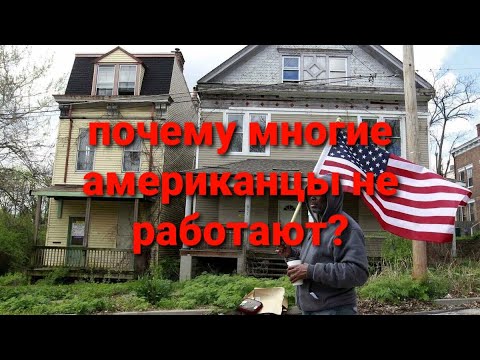 почему многие американцы не работают