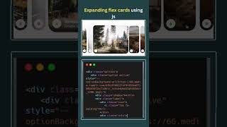 Expanding Flex Cards | Interactive Flexbox Card Animation using HTML ,CSS &amp; JS
