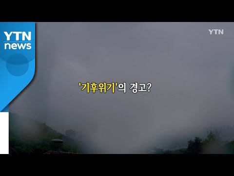 [뉴있저] 113년 만에 '이례적' 가을 폭우...'기후위기'의 경고? / YTN