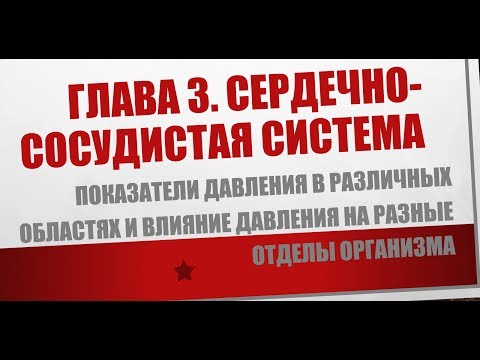 Физиология. Глава 3. Сердечно-сосудистая система. Показатели давления и влияние на организм