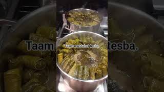 Unabti Mustahel Tesba