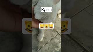 Ты с прической, я с прической 🐱❤💋🐱❤💋🐱❤💋