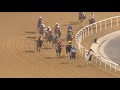 Race 3: Longines Conquest V.H.P Ladies - SHANTY STAR