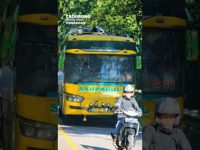 Bus CV. Sampagul kebanggaan #busmania #padangsidimpuan #sampagul #fyp class=