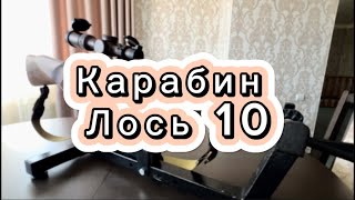 Карабин Байкал 145 Лось 10, калибр 308win. Обзор от владельца #охота #оружиероссии