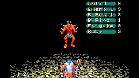 7th Saga - Battle with Wilme