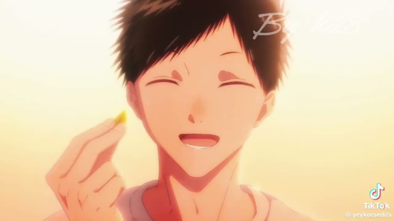 Perdón , Camila ( la versión de tik tok ) 