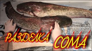 КАК ПРАВИЛЬНО РАЗДЕЛАТЬ СОМА!ЧТО ПРИГОТОВИТЬ ИЗ СОМЯТИНЫ!ГОТОВИМ СОМА!(Burke And Cook Catfish) - 8 