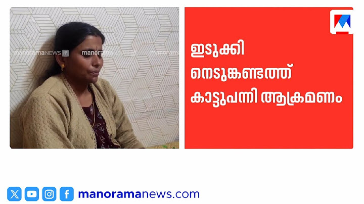 കാട്ടുപന്നിക്ക് എന്ത് ബ്ലോക്ക് പഞ്ചായത്ത് പ്രസിഡന്‍റ്  | Nedumkandam Wildboar