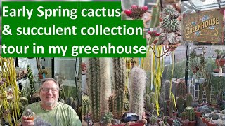 My CACTUS GREENHOUSE COLLECTION Spring '24 update #cacti #cactus #succulents #greenhouse #collection