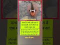 #motivation#indianpolitician #modiji #ख़बर1इंडिया #news #bageshwardhammandirkahanparhai
