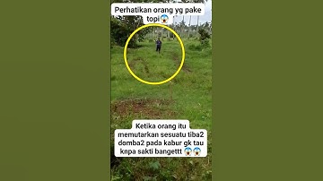Bikin kaget ketika orang ini lewat #short #feedshort