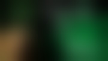 "CBD Tincture for Pets" Chef Turtle