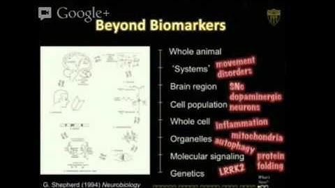 Organizing the World