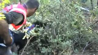 Pkk Terrorism: 44 Tons Of Marijuana Seized In Operation Against Terrorist Pkk (31.10.2011)