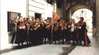 Miniatura de vídeo de "Lloraran las Estrellas - Tuna de Derecho de Alicante - Mujer Mediterranea"