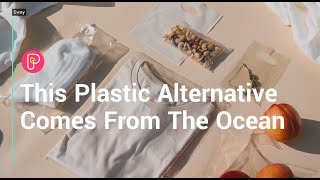 Making plastics from seaweed