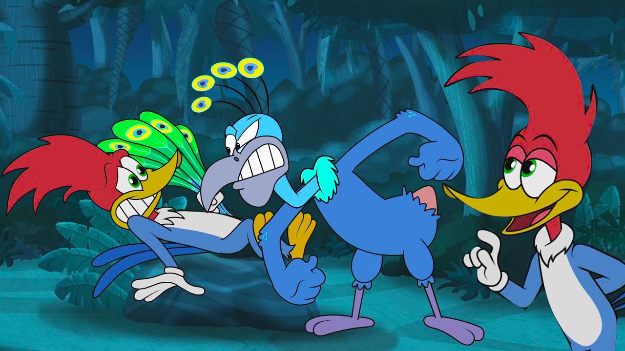 Pica-Pau Luta Contra um Pavão! 🦚 | Pica-Pau em Português