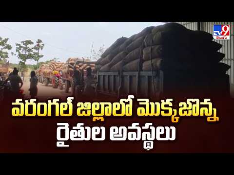 Corn Farmers Struggles in Warangal | వరంగల్ జిల్లాలో మొక్కజొన్న రైతుల అవస్థలు - TV9 - TV9