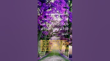 #سورة_المجادلة #قرآن #اكسبلور #المصحف #دويتو #tiktok #لايك #تيك_توك #راحة_نفسية #quran