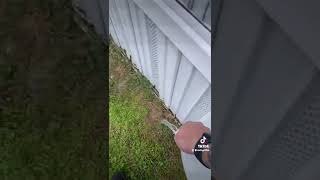 How to keep mice from coming into your house