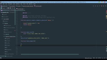 How to use genesis hooks and filters