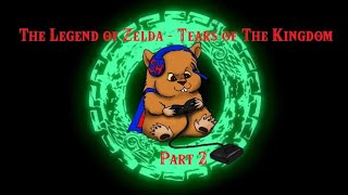 The Legend of Zelda - Tears of the Kingdom Playthrough Part 2 - 5/14/23 - Past Twitch Stream