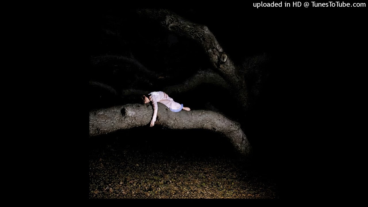 (free) nettspend x osamason x lucy bedroque type beat