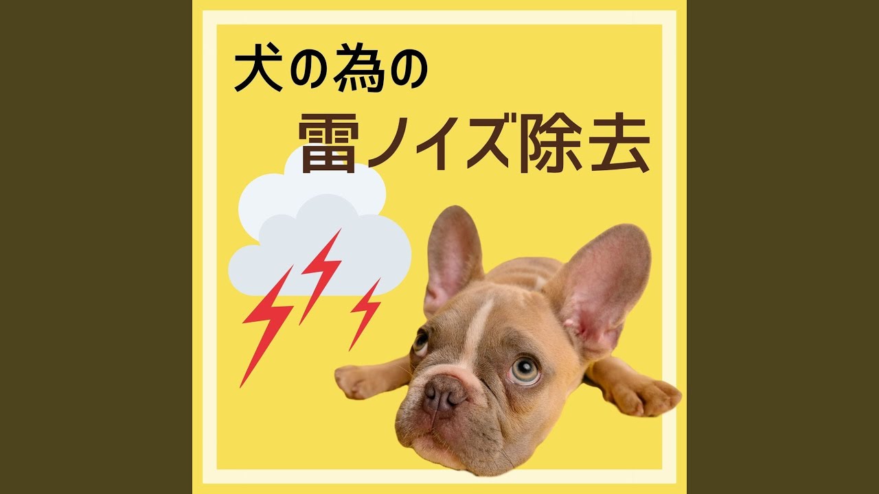カーミングシグナル 犬猫ヘルパー Shazam