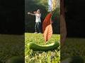 Miniature world 📸 Creative ideas with Cucumber 🥒